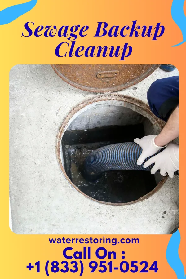 Sewage Backup Cleanup in Sheffield, IL
